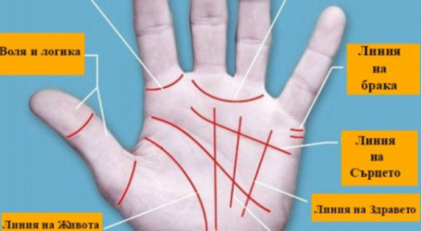 Какво показва дланта ви