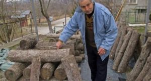 Нашенец от село Леденик отглежда чудотворната гъба шийтаке – единствената която спасява онкоболни