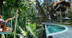 Уникална къща на дърво в Бали за 23 евро на нощ