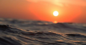коронавируса в морска вода