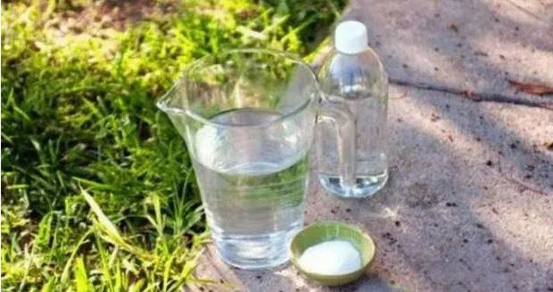 Всичко е много лесно: Оцет + вода + сол = формулата която изкоренява бурени и треволяк без остатък.