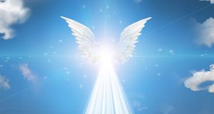Познайте своя ангел – пазител според неговите крила