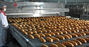 Турска мая+ГМО пшеница=хиляди болни българи