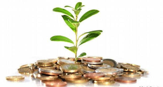 4 зелени магнита за пари у дома - растенията които ще ни направят богати ако ги засадим вкъщи