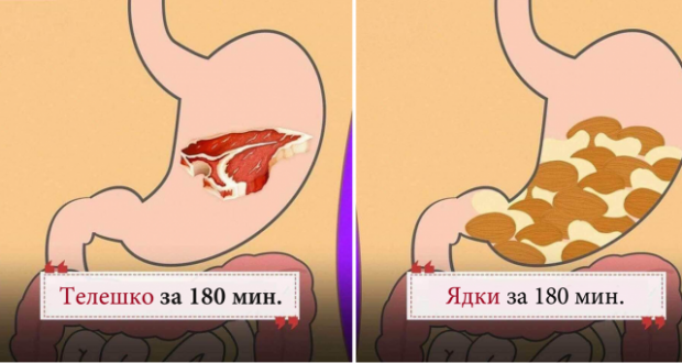 Ето кои са най-добрите храни - натурални заместители на много лекарства