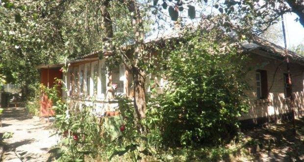 Дърветата които не бива да растат до къщата ви защото носят беди и нещастия