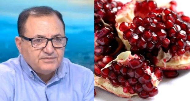 Д-р Бруск Халил: Чай от нар и анасон за превенция на COVID-19