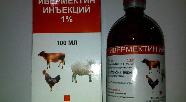Лекарство против глисти може да се окаже вълшебният цяр срещу Коронавируса!