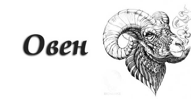 10 неща които трябва да знаете ако имате поне един Овен вкъщи