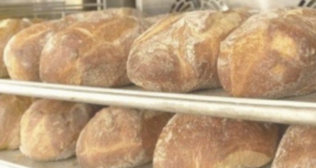 Хлябът ни взима здравето: Какво ще се случи с тялото ни ако спрем да го ядем всеки ден